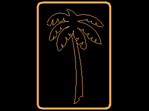Palm
